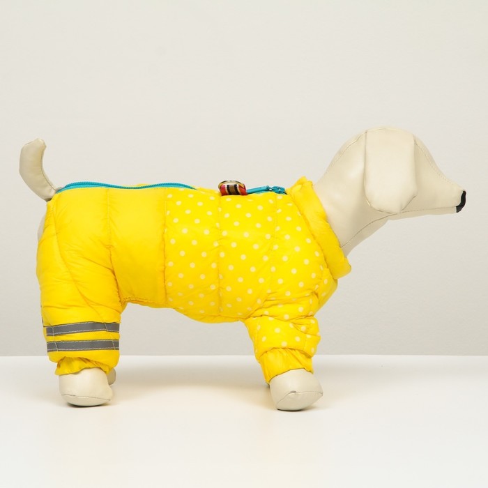 фото Комбинезон для собак "горошек", размер 10 (дс 25, ог 34, ош 24 см), жёлтый