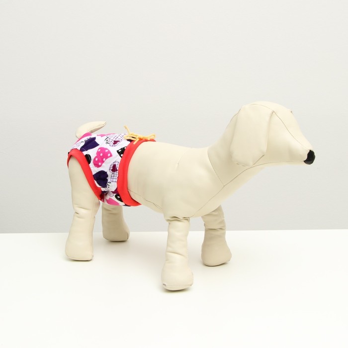 Трусы для собак трикотажные, размер 12, микс цветов
Трусы для собак трикотажные, размер 12, микс цветов