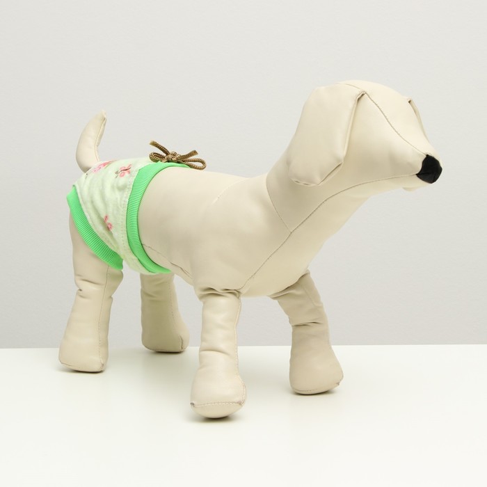 Трусы для собак трикотажные, размер 8, микс цветов
Трусы для собак трикотажные, размер 8, микс цветов