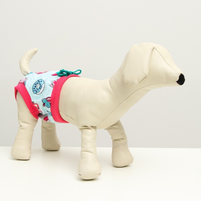 Трусы для собак трикотажные, размер 12, микс цветов
Трусы для собак трикотажные, размер 12, микс цветов