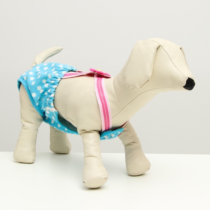 Трусы для собак трикотажные на подтяжках, размер 12, микс цветов
Трусы для собак трикотажные на подтяжках, размер 12, микс цветов