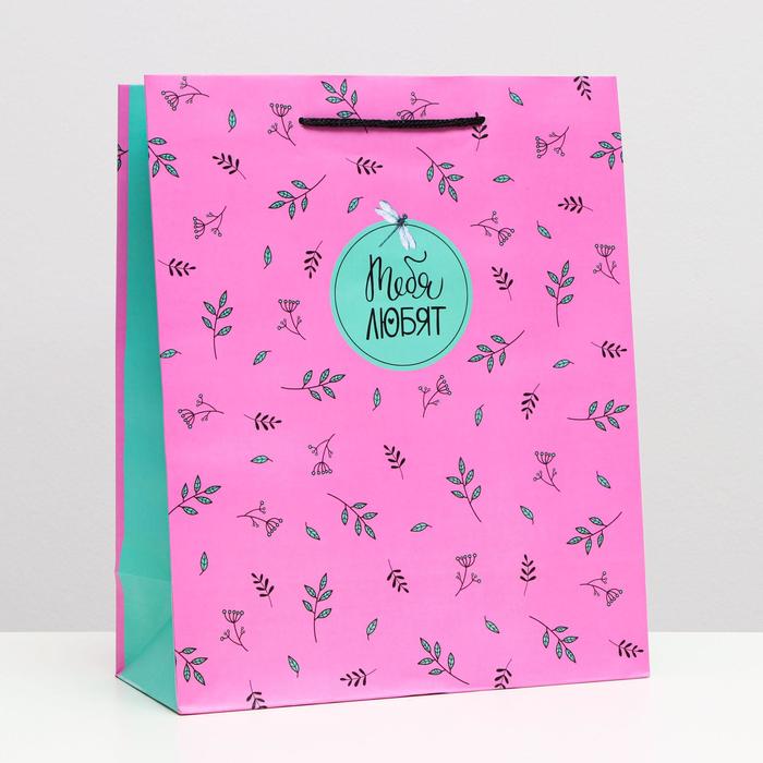 Пакет подарочный "Тебя любят", 26 х 32 х 12 см
Пакет подарочный "Тебя любят", 26 х 32 х 12 см