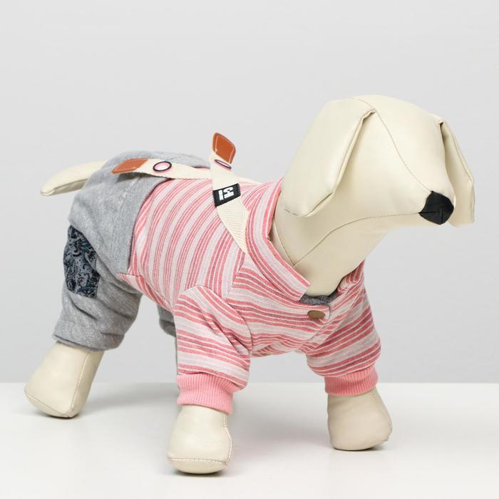 Комбинезон зимний "Малышка", размер XS (ДС 20, ОШ 18-22 ОГ 27-32), серо-розовый 
Комбинезон зимний "Малышка", размер XS (ДС 20, ОШ 18-22 ОГ 27-32), серо-розовый