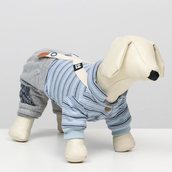 Комбинезон зимний "Малыш", размер XS (ДС 20, ОШ 18-22 ОГ 27-32), серо-голубой
Комбинезон зимний "Малыш", размер XS (ДС 20, ОШ 18-22 ОГ 27-32), серо-голубой