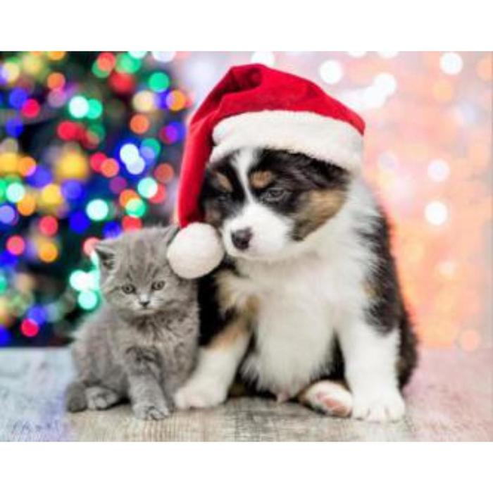 Алмазная мозаика 30×40 см, без подрамника, с полным заполнением, 34 цв. «Новогодний щенок и котёнок»
Алмазная мозаика 30×40 см, без подрамника, с полным заполнением, 34 цв. «Новогодний щенок и котёнок»