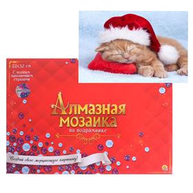 Алмазная мозаика 22×32 см, с подрамником, с полным заполнением 21 цв. «Котенок в новогоднем колпаке»
Алмазная мозаика 22×32 см, с подрамником, с полным заполнением 21 цв. «Котенок в новогоднем колпаке»
