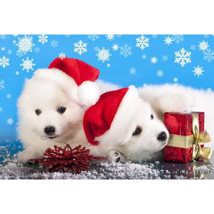 Алмазная мозаика, 30×40 см, без подрамника, с частичным заполнением, 16 цв. «Два щенка в новогодних колпаках»
Алмазная мозаика, 30×40 см, без подрамника, с частичным заполнением, 16 цв. «Два щенка в новогодних колпаках»