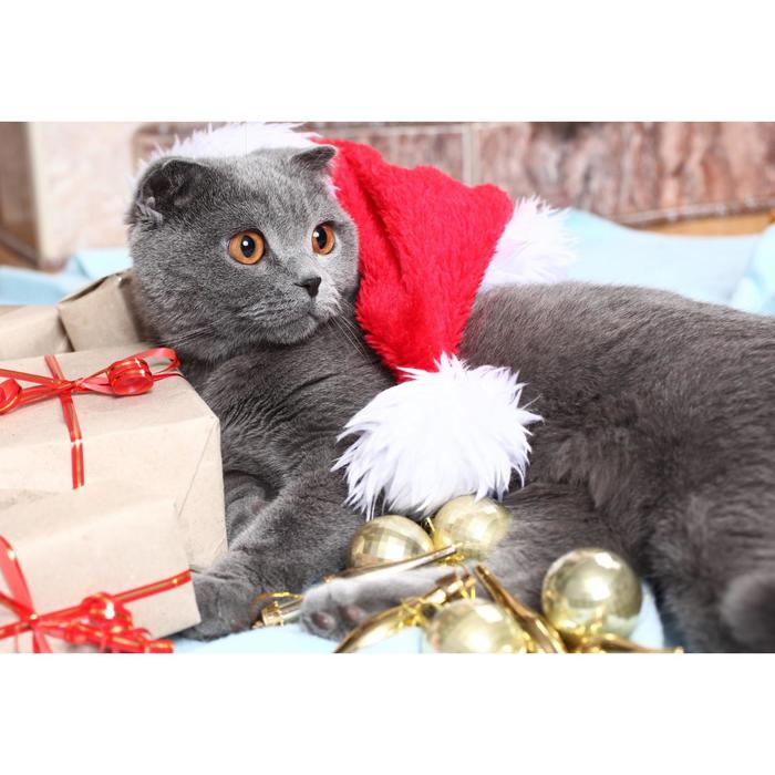 Алмазная мозаика 30×40 см, с подрамником, с полным заполнением, 33 цв. «Котик и подарок»
Алмазная мозаика 30×40 см, с подрамником, с полным заполнением, 33 цв. «Котик и подарок»