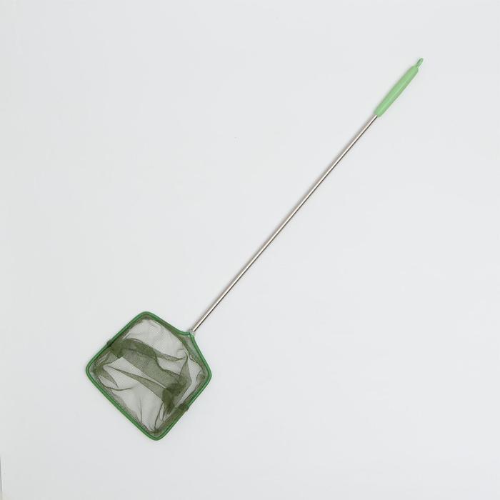 Сачок с нержавеющей ручкой 15*40см
Сачок с нержавеющей ручкой 15*40см