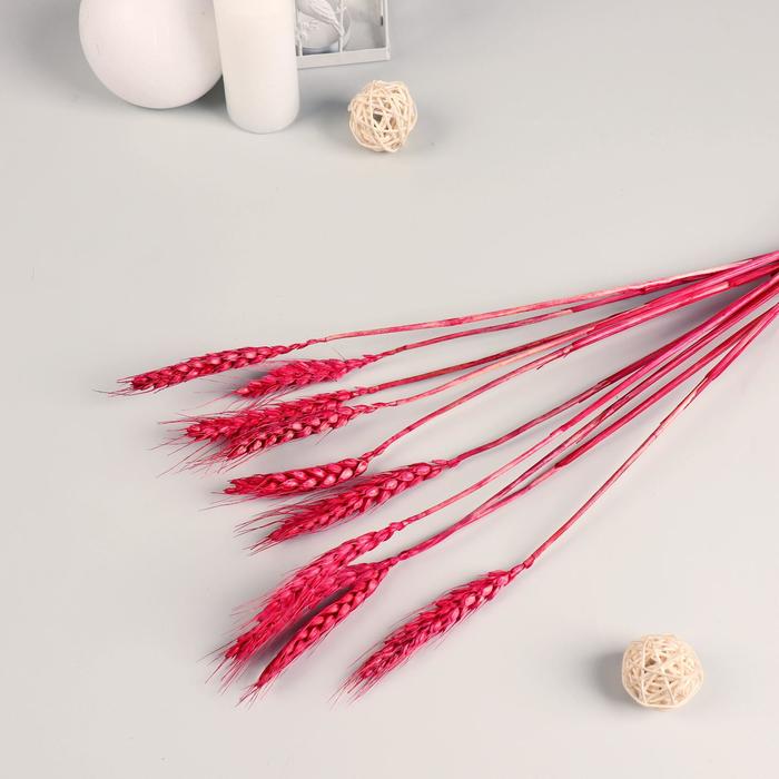 Декор сухоцвет "Пшеница" (набор 10 шт) 60 см, красный
Декор сухоцвет "Пшеница" (набор 10 шт) 60 см, красный