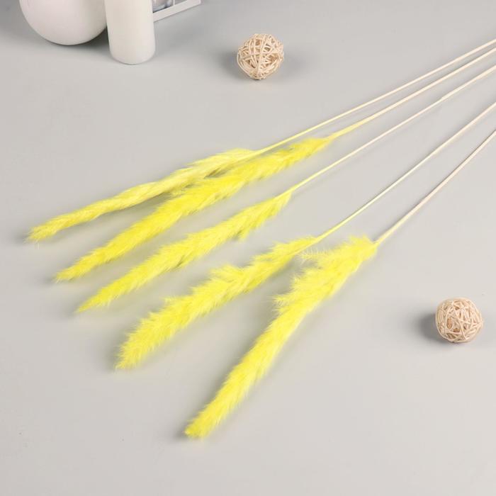 Декор сухоцвет "Кортадерия" 65 см, жёлтый (фасовка 5шт, цена за 1шт)
Декор сухоцвет "Кортадерия" 65 см, жёлтый (фасовка 5шт, цена за 1шт)