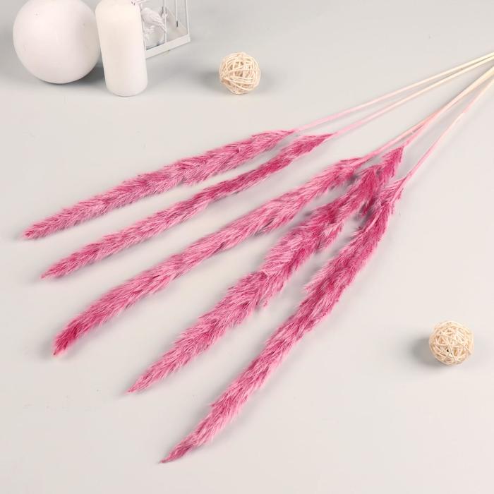 Декор сухоцвет "Кортадерия" 65 см, розовый (фасовка 5шт, цена за 1шт)
Декор сухоцвет "Кортадерия" 65 см, розовый (фасовка 5шт, цена за 1шт)