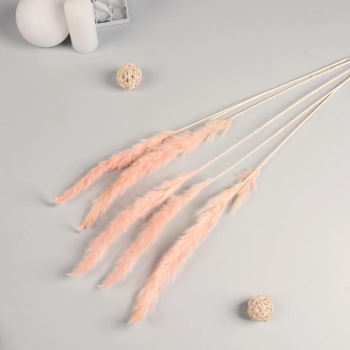 Декор сухоцвет "Кортадерия" 65 см, коралловый (фасовка 5шт, цена за 1шт)
Декор сухоцвет "Кортадерия" 65 см, коралловый (фасовка 5шт, цена за 1шт)