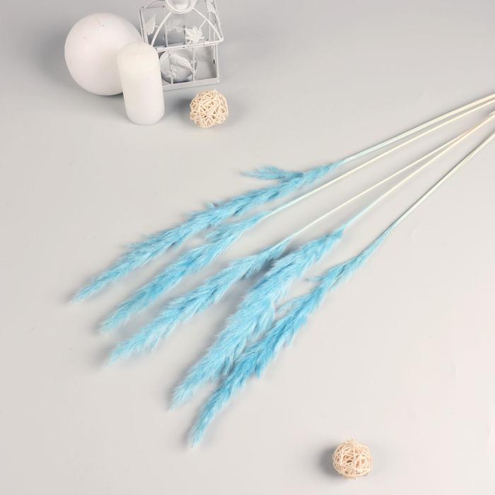 Декор сухоцвет "Кортадерия" 65 см, голубой (фасовка 5шт, цена за 1шт)
Декор сухоцвет "Кортадерия" 65 см, голубой (фасовка 5шт, цена за 1шт)