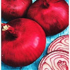 Семена Лук репчатый красный Брунсвик 1 кг
Семена Лук репчатый красный Брунсвик 1 кг