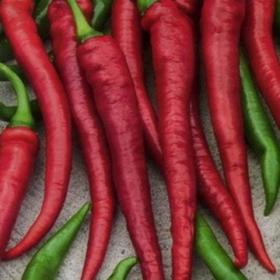 Семена Перец острый Юбилейный ВНИИССОК 1 кг
Семена Перец острый Юбилейный ВНИИССОК 1 кг