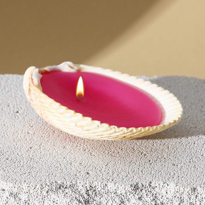 Свеча в ракушке "Time to dream",розовая
Свеча в ракушке "Time to dream",розовая