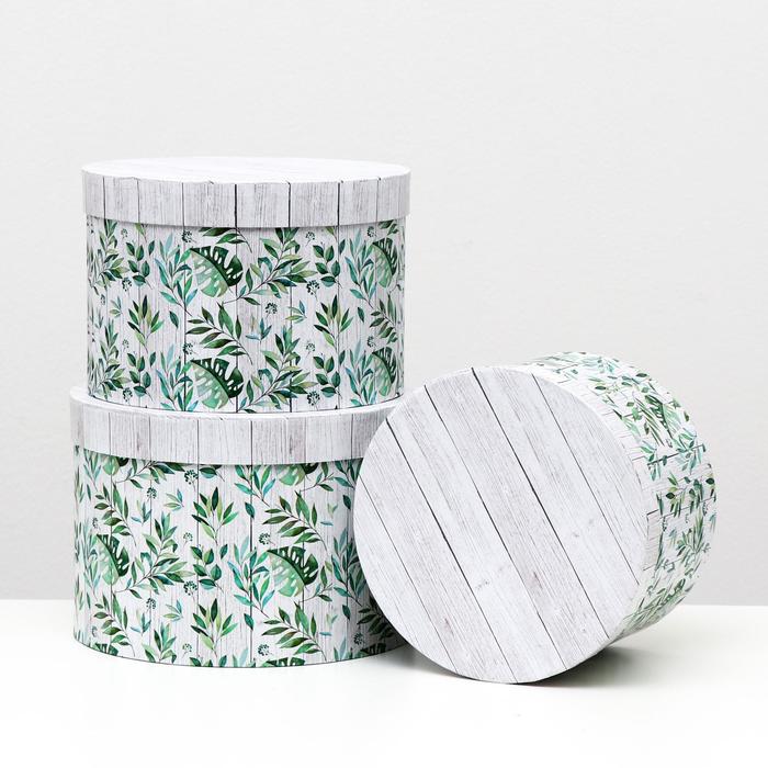 Набор круглых коробок 3 в 1, зеленый, 24,7 x 17 - 21 x 14 см
Набор круглых коробок 3 в 1, зеленый, 24,7 x 17 - 21 x 14 см