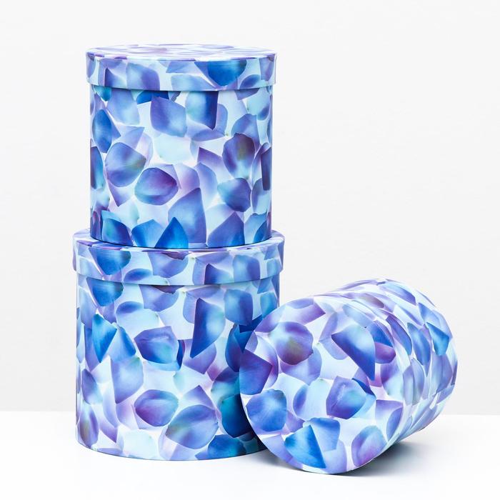 Набор круглых коробок 3 в 1 "Синие цветы", 19,5 x 19 - 15,5 x 15 см
Набор круглых коробок 3 в 1 "Синие цветы", 19,5 x 19 - 15,5 x 15 см
