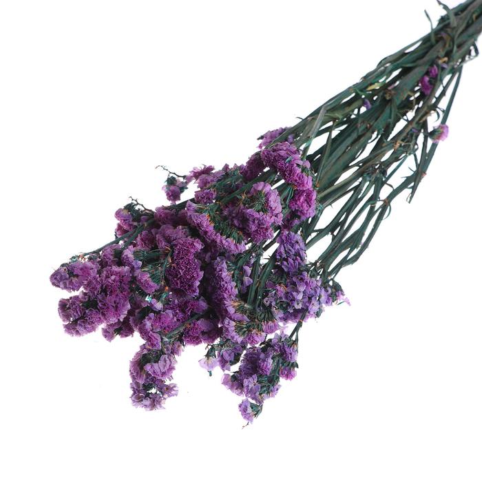 Сухоцвет «Статица» 100 г, цвет сиреневый
Сухоцвет «Статица» 100 г, цвет сиреневый