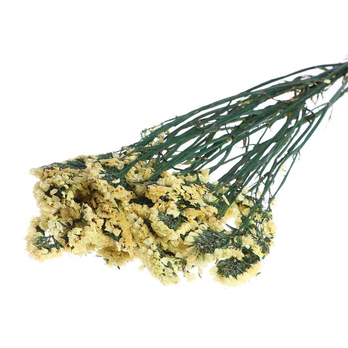 Сухоцвет «Статица» 100 г, цвет жёлтый
Сухоцвет «Статица» 100 г, цвет жёлтый