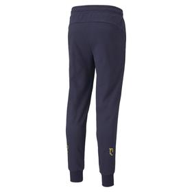 Брюки мужские Puma NEYMAR JR HERO Sweat Pants Peacoat-Dande, размер M EUR (60555506)
Брюки мужские Puma NEYMAR JR HERO Sweat Pants Peacoat-Dande, размер M EUR (60555506)