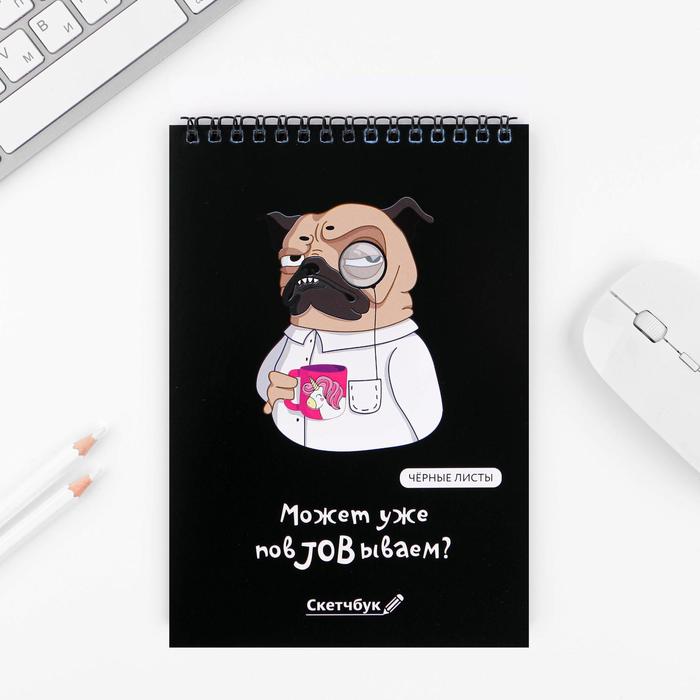 Скетчбук с чёрными листами «Может уже повJOBываем» А5 40 л 100 г/м 
Скетчбук с чёрными листами «Может уже повJOBываем» А5 40 л 100 г/м