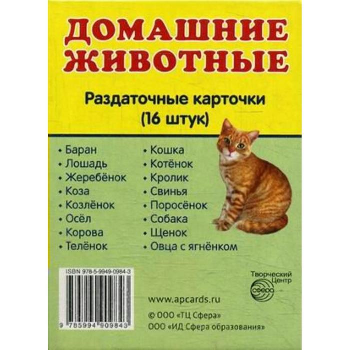 фото Набор карточек. домашние животные, 16 шт сфера
