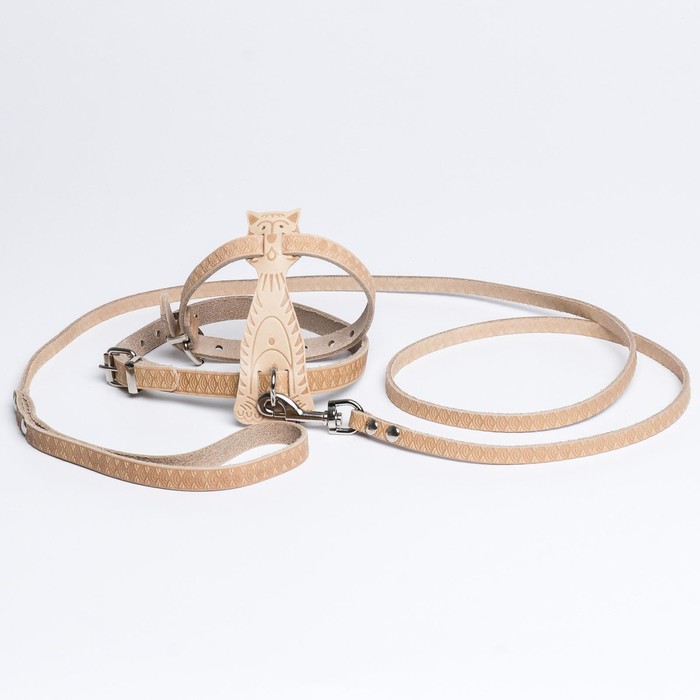 Комплект «Кошка», бежевый (шлейка 32-41х1 см, поводок 130х0.8 см)
Комплект «Кошка», бежевый (шлейка 32-41х1 см, поводок 130х0.8 см)