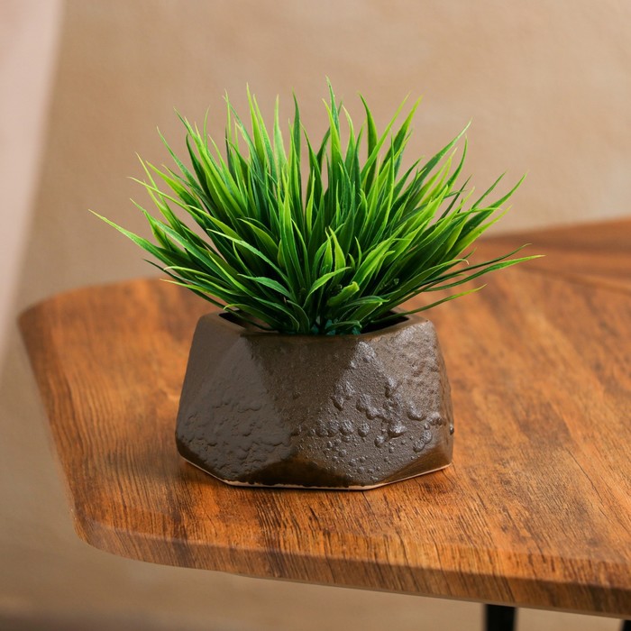 Кашпо для кактусов и суккулентов "Оригами", кожа, цвет коричневый, 0.3 л 
Кашпо для кактусов и суккулентов "Оригами", кожа, цвет коричневый, 0.3 л