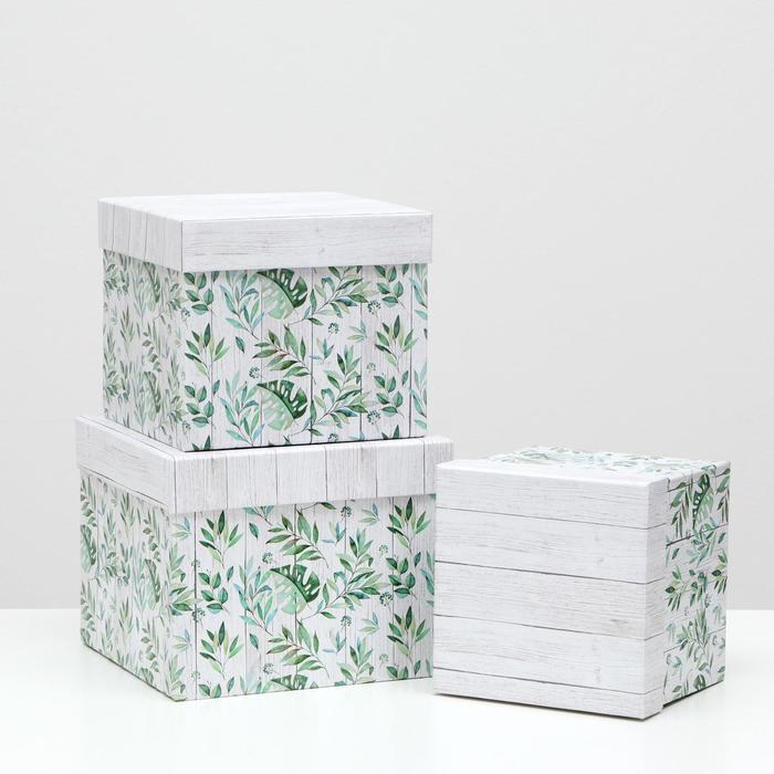 Набор коробок 3 в 1, "Зелень", 20.5 x 20.5 x 16.5 - 15.5 x 15.5 x 14.5 см
Набор коробок 3 в 1, "Зелень", 20.5 x 20.5 x 16.5 - 15.5 x 15.5 x 14.5 см