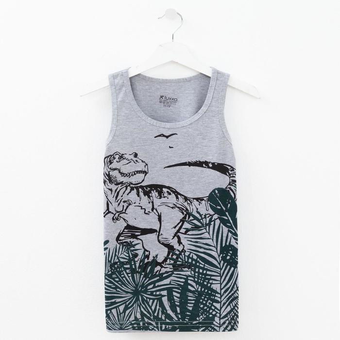 Майка для мальчика, цвет серый, рост 146-152 см (11/12)
Майка для мальчика, цвет серый, рост 146-152 см (11/12)