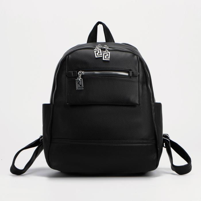 Рюкзак на молнии, цвет чёрный
Рюкзак на молнии, цвет чёрный