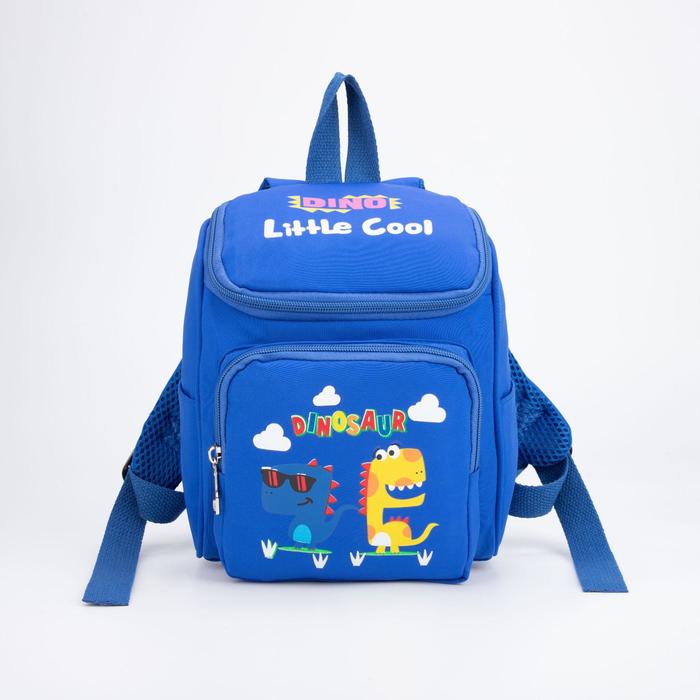 Рюкзак на молнии, цвет синий
Рюкзак на молнии, цвет синий