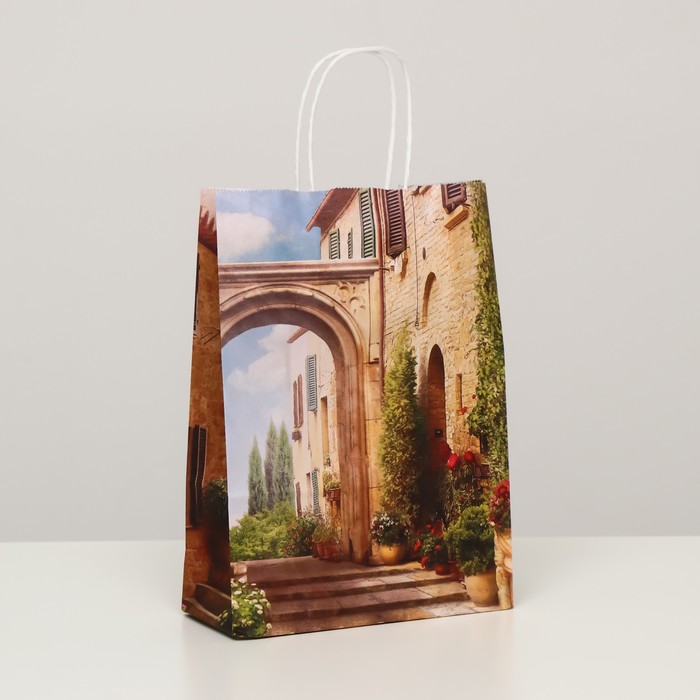 Пакет крафт "Прованс", 18 х 8 х 25 см
Пакет крафт "Прованс", 18 х 8 х 25 см