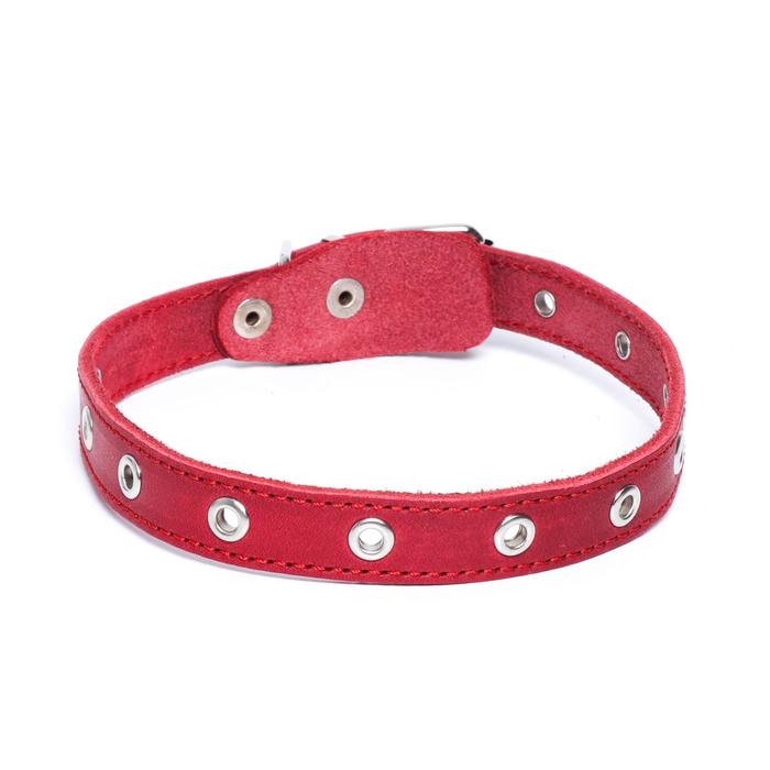 Ошейник универсальный, красный (размер 12-45 см, ширина 2 см), кожаный
Ошейник универсальный, красный (размер 12-45 см, ширина 2 см), кожаный