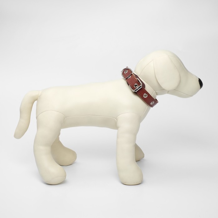 Ошейник универсальный, коричневый (размер 12-45 см, ширина 2 см), кожаный
Ошейник универсальный, коричневый (размер 12-45 см, ширина 2 см), кожаный