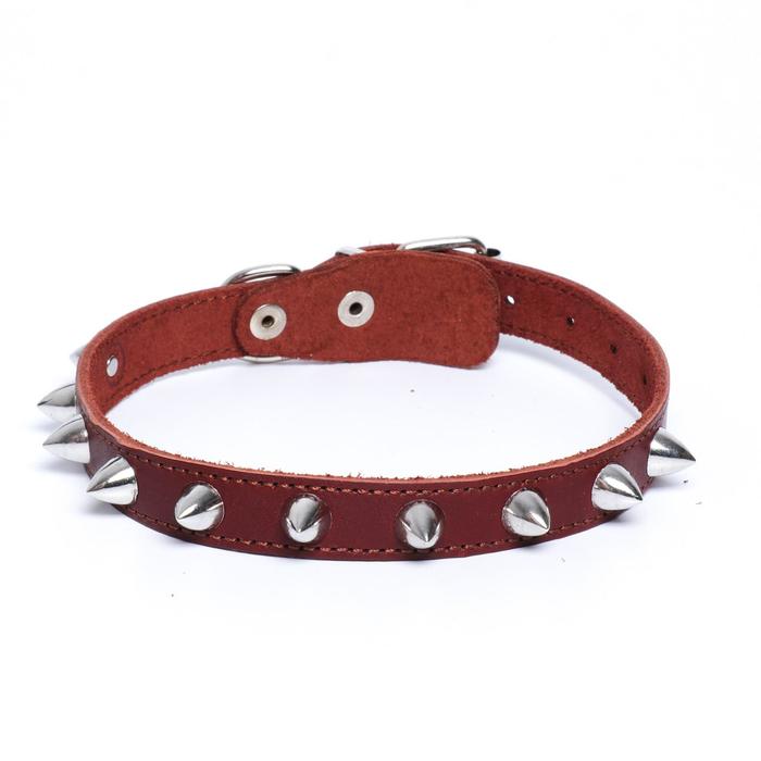 Ошейник кожаный с шипами, коричневый (38-46х2 см)
Ошейник кожаный с шипами, коричневый (38-46х2 см)