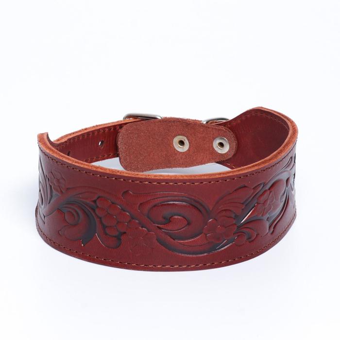 Ошейник двухслойный с тиснением «Виноград», коричневый (размер 41-50 см, ширина 2-5 см), кожаный
Ошейник двухслойный с тиснением «Виноград», коричневый (размер 41-50 см, ширина 2-5 см), кожаный