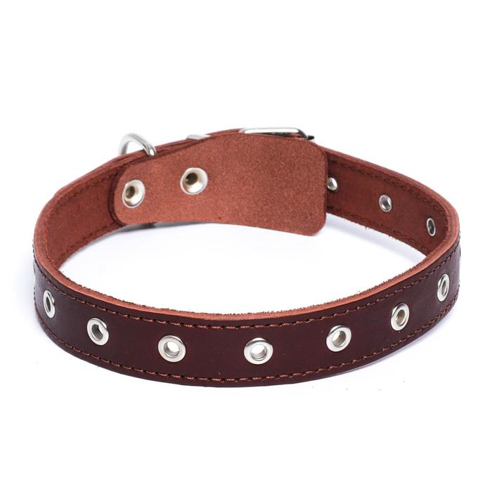 Ошейник универсальный, коричневый (размер 16-54 см, ширина 2,5 см), кожаный
Ошейник универсальный, коричневый (размер 16-54 см, ширина 2,5 см), кожаный