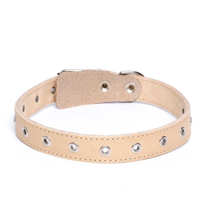 Ошейник универсальный, бежевый (размер 16-54 см, ширина 2,5 см), кожаный
Ошейник универсальный, бежевый (размер 16-54 см, ширина 2,5 см), кожаный