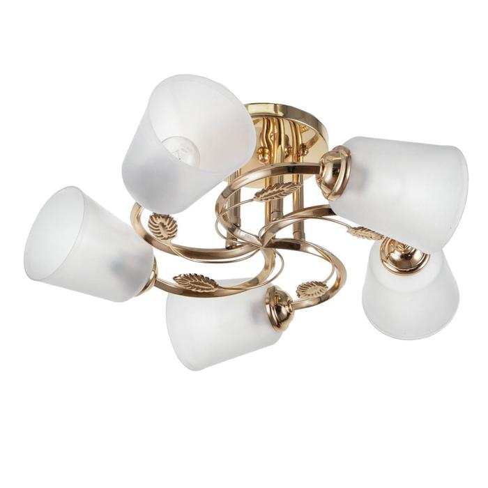 Люстра BP7553/5 5х12Вт Е27 золото МОДЕЛЬ: GMN-0033
Люстра BP7553/5 5х12Вт Е27 золото МОДЕЛЬ: GMN-0033