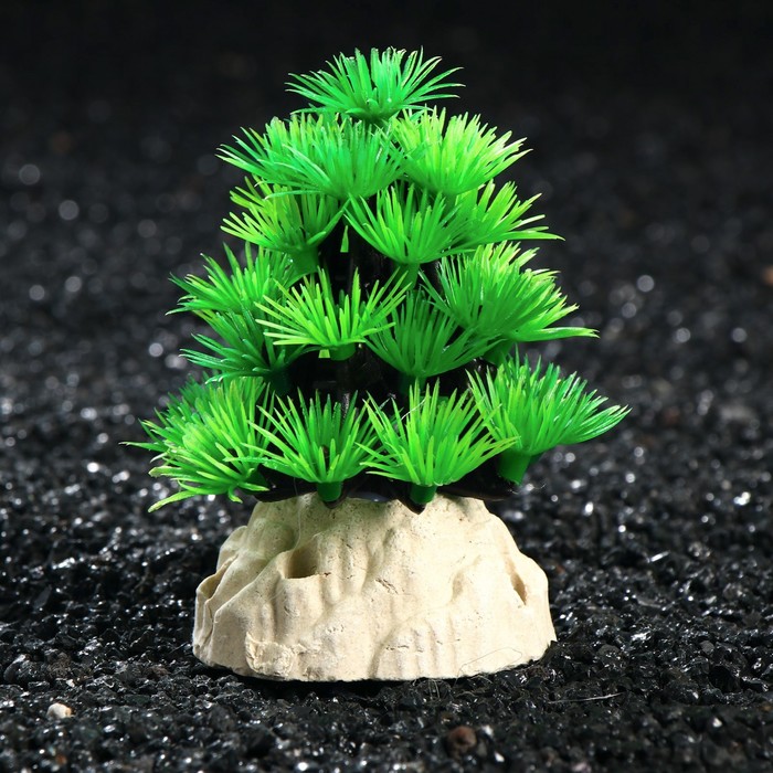 Растение искусственное аквариумное, 9 см 
Растение искусственное аквариумное, 9 см