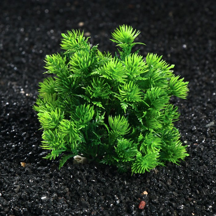 Растение искусственное аквариумное, 12 см
Растение искусственное аквариумное, 12 см