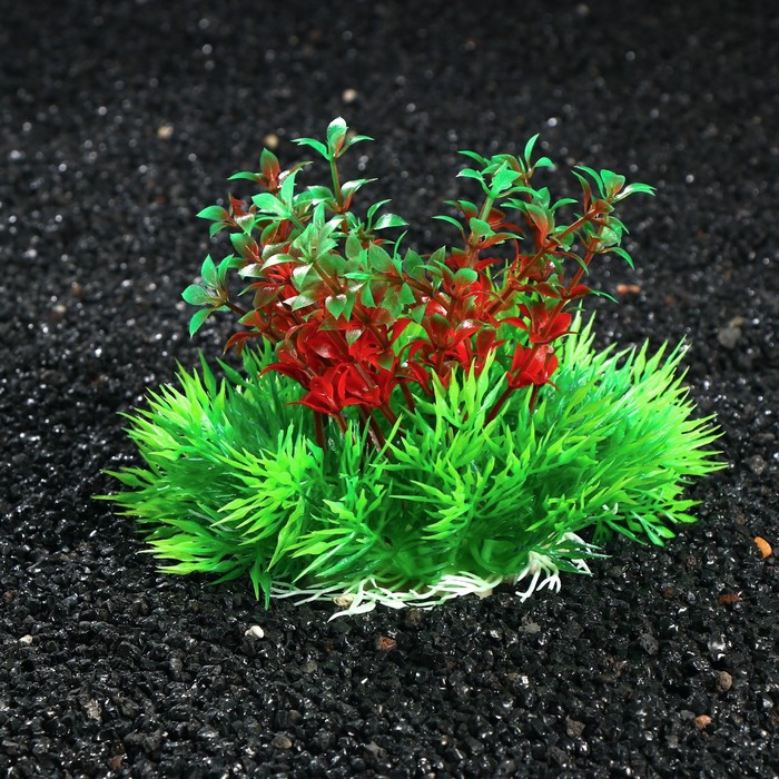 Растение искусственное аквариумное, 12 х 13 см
Растение искусственное аквариумное, 12 х 13 см