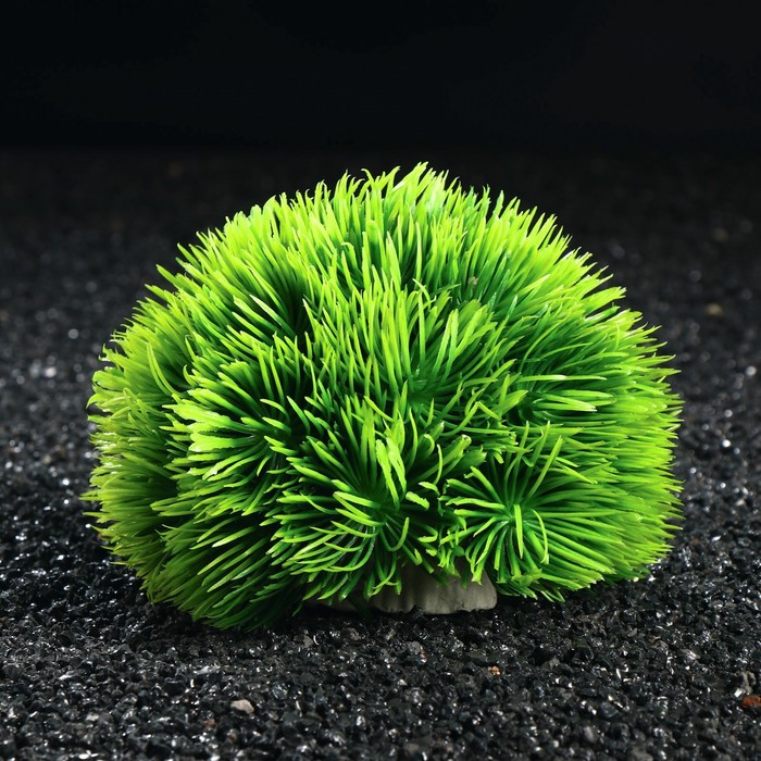 Растение искусственное аквариумное, 10 х 17 см
Растение искусственное аквариумное, 10 х 17 см