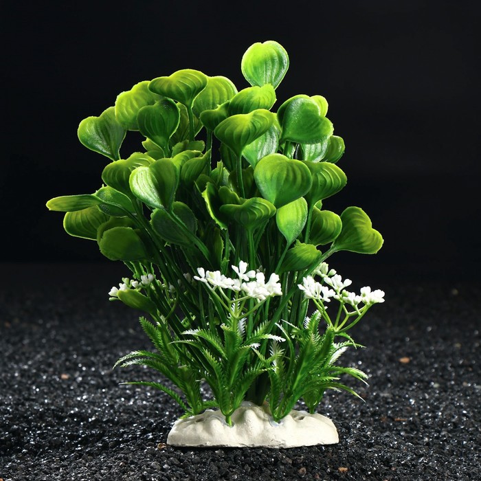 Композиция с растениями искусственными для аквариума, 21 см
Композиция с растениями искусственными для аквариума, 21 см