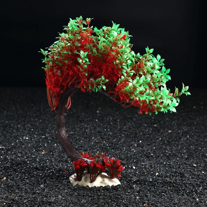 Композиция с растениями искусственными для аквариума, 23 х 23 см
Композиция с растениями искусственными для аквариума, 23 х 23 см