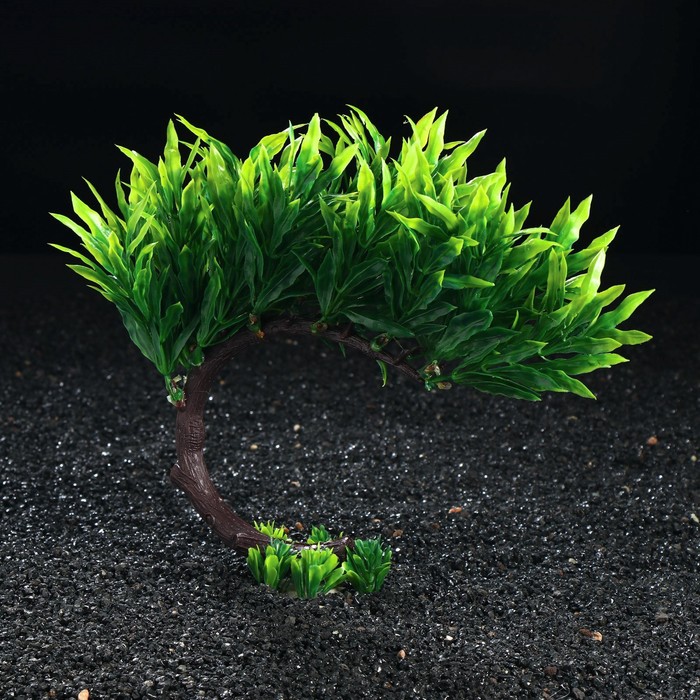 Композиция с растениями искусственными для аквариума, 23 х 23 см
Композиция с растениями искусственными для аквариума, 23 х 23 см