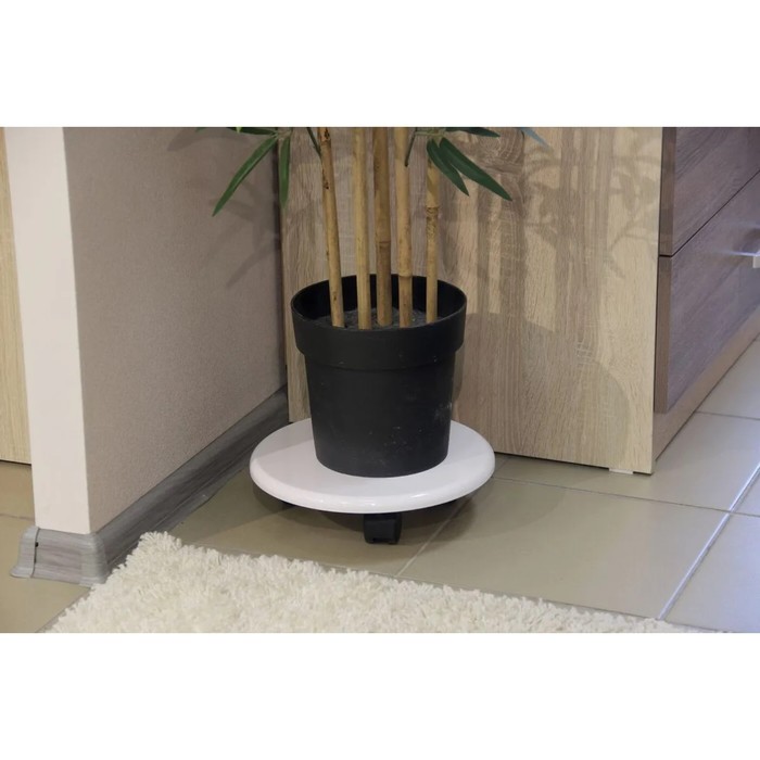 Подставка под цветы 300х300х76 белый глянец
Подставка под цветы 300х300х76 белый глянец